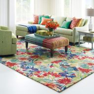 Company C: Hibiscus Rug Multi
