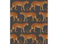 Cole & Son WP: Ardmore Leopard Walk 109/2008.CS.0 Charcoal & Orange