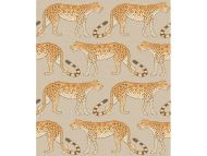 Cole & Son WP: Ardmore Leopard Walk 109/2010.CS.0 Stone & Orange