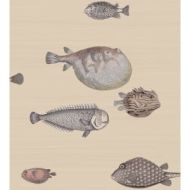 Cole & Son WP: Fornasetti Acquario 114/16033.CS.0 Taupe