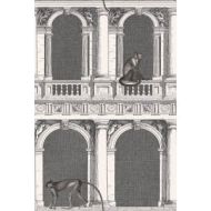 Cole & Son WP: Fornasetti Procuratie e Scimmie 114/21041.CS.0 Black/White