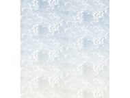 Cole & Son WP: Fornasetti Nuvole Al Tramanto 114/3006.CS.0 Dawn