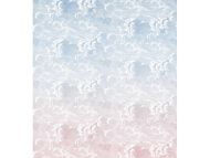 Cole & Son WP: Fornasetti Nuvole Al Tramanto 114/3007.CS.0 Dusk/Pink