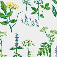 Schumacher: Koksvaxter 1789 Leaf