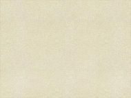 Aerin Lauder for Lee Jofa: Broglie 2015126.101.0 Oyster