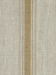 Robert Allen: Inner Lines 215760 Golden