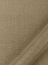 Beacon Hill: Tussah Silk 230603 Bamboo