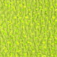 Scalamandre: Mambo CL 0009 26729 Apple Green