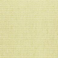 Scalamandre: Cortona Chenille SC 0003 27104 Fern