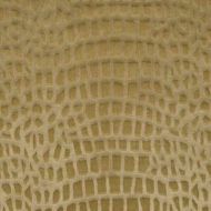 Kravet: 29488.6.0