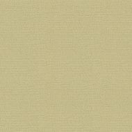 Candice Olson for Kravet: Jet Setter 29582.11.0 Silver