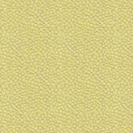 Kravet: Polka Dot Plush 32972.323.0 Wasabi