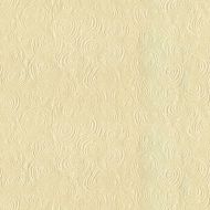 Jeffrey Alan Marks for Kravet: Hart 33414.1.0 Shell