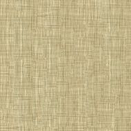 Barbara Barry for Kravet Couture: Interlaken 33913.16.0 Barley