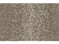 Linherr Hollingsworth for Kravet Couture: L'Escale 34239.16.0 Dusk 