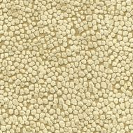 Candice Olson for Kravet: Kori 34131.16.0 Gold