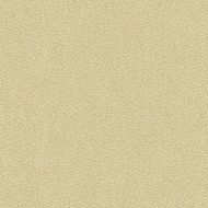 Candice Olson for Kravet: Jatoba 34177.16.0 Oyster