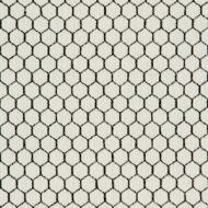 Kravet Design: 36081.81.0