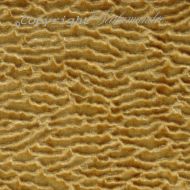 Scalamandre: Astrakhan CL 0012 36280 Gold