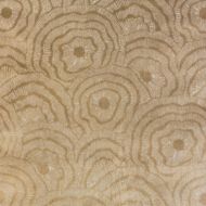 Corey Damen Jenkins for Kravet: Panache Velvet 36366.416.0 Gold