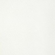 Candice Olson for Kravet: Tip the Scale 36783.1.0 Snow