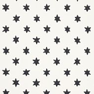 Hobe Erwin for Schumacher: Astral 5013140 Black