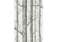 Cole & Son WP: New Contemporary Two Woods 69/12147.CS.0 Onyx/White