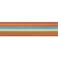 Schumacher: Primavera Tape Narrow Indoor/Outdoor 75982 Marigold