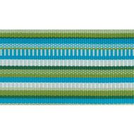 Schumacher: Primavera Tape Wide Indoor/Outdoor 75990 Meadow