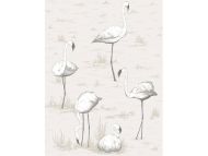 Cole & Son WP: Contemporary Restyled Flamingos 95/8046.CS.0 Charcoal/White