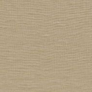 Kravet Smart: Windswept Linen 9725.1616.0 Flax
