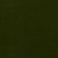 GP&J Baker: Baker House Velvet BF10838.730.0 Olive