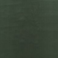 GP&J Baker: Baker House Velvet BF10838.773.0 Eucalyptus