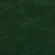 GP&J Baker: Baker House Velvet BF10838.794.0 Forest