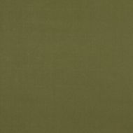 GP&J Baker: Baker House Velvet BF10838.795.0 Moss
