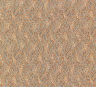 Old World Weavers for Scalamandre: Flurry BI 0005 1234 Fox