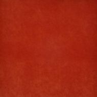 Maxwell: CLARK # # 727 CORAL