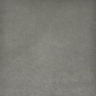 Maxwell: CLARK  # 776 SILVER