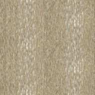 Jeffrey Alan Marks for Kravet: Chromis CHROMIS.106.0 Pumice