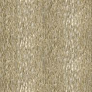 Jeffrey Alan Marks for Kravet: Chromis CHROMIS.1611.0 Metal