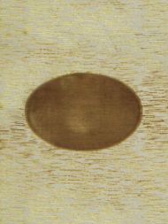 Scalamandre: Edo CL 0005 36436 Bronzo