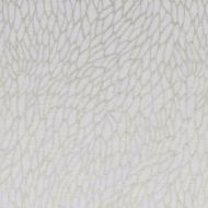 Clarke & Clarke: Corallino Sheer F1278/02.CAC.0 Champagne/Gold