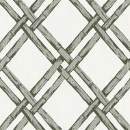 Clarke & Clarke: Bhutan F1287/01.CAC.0 Charcoal