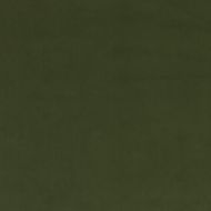 Mulberry: Mulberry Velvet FD800.S16.0 Emerald
