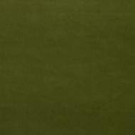 Mulberry: Mulberry Velvet FD800.S46.0 Fern