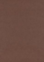 *Lee Jofa: Vintage Leather WP FG075.G3.0 Chestnut