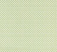 Grey Watkins for Scalamandre: Dash & Dot Print GW 0005 16618 Sugar Snap