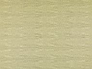 Highland Court: Olas HU15847-343 Cactus