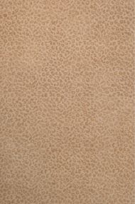 Company C: Leopardess Rug Pecan
