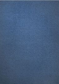 Company C: Leopardess Rug Cobalt